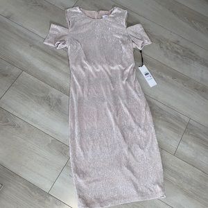 NWT Calvin Klein Metallic Dress